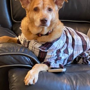 Meet your Posher, Kelli